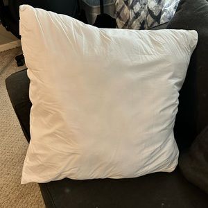Pottery Barn euro pillows